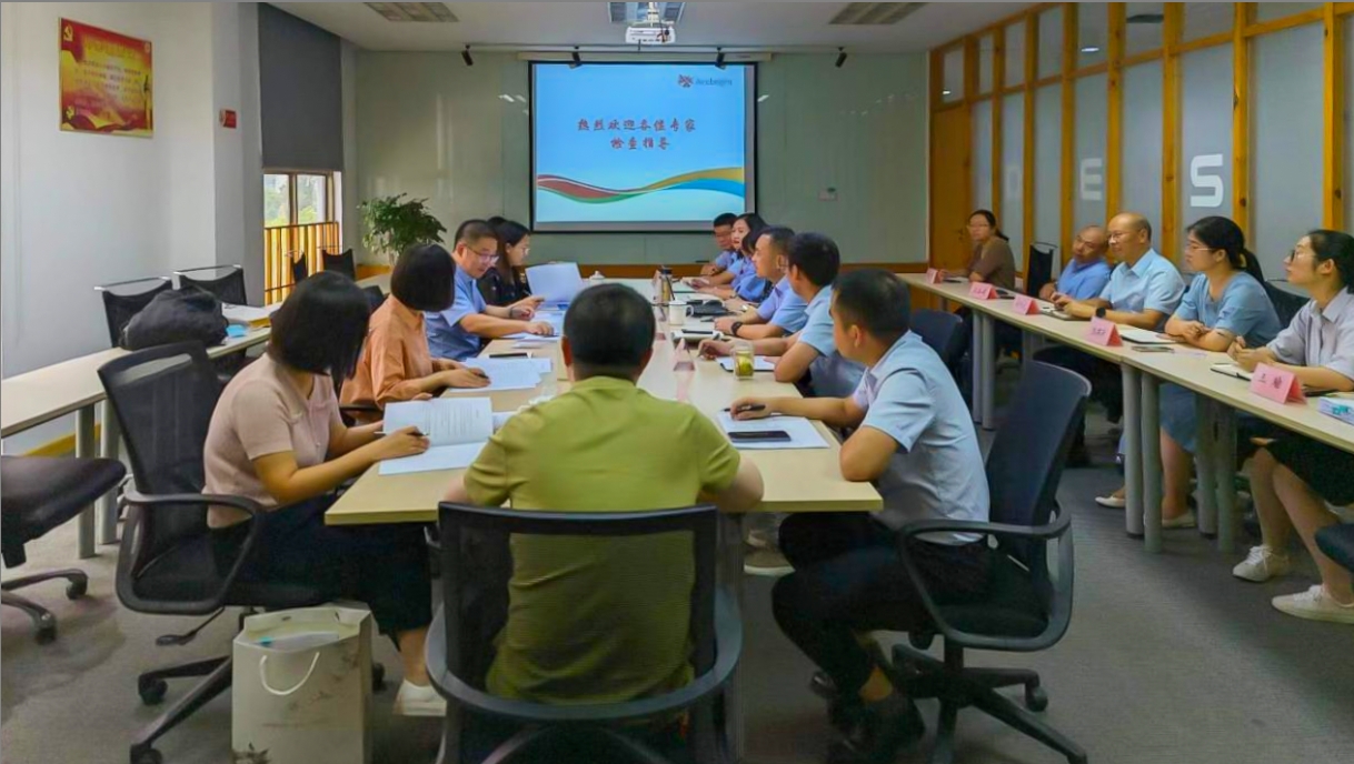 博鱼网页版顺利通过舒更注册现场核查与小针GMP符合性二合一检查