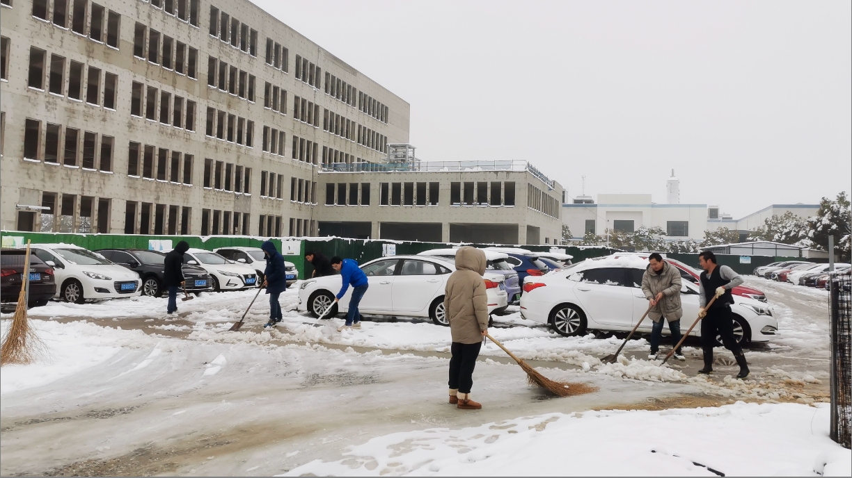 雪绽琼花日 扫雪暖心时丨博鱼网页版开展扫雪除冰活动
